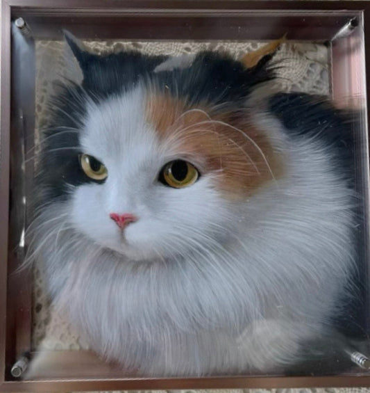 Custom Pet Portrait - Acrylic Paint (6-Layer)